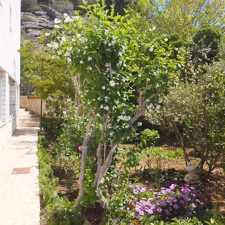 Apartman In Supetarska Draga/insel Rab 17867 Supetarska Draga